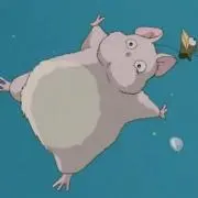 オレンジ君