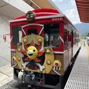 ヤシの画像