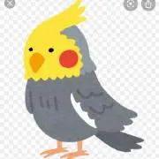 やのわの画像