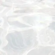 r プロフ必須の画像