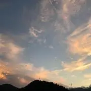mtrの画像