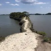 スイスイの画像