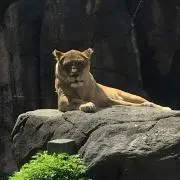 みき