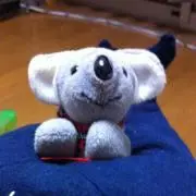 melの画像