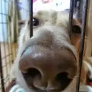 tarou kamosikaの画像