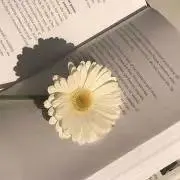 y- プロフ必読の画像