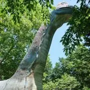 ぐちさん