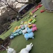 めあこの画像
