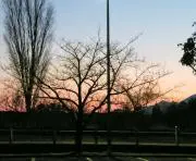 rurの画像