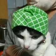タクミ