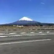 ぽちの画像