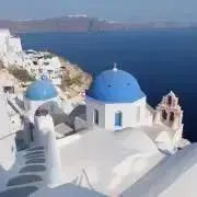 トリュフ　購入前に在庫確認お願いします