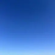 しん