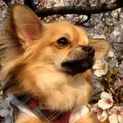 ながぱの画像