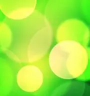 こけだまりもの画像