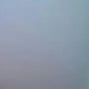 …………。