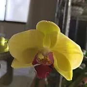 キミキミ
