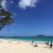あいのかたまりの画像