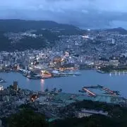 ハルの画像