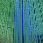 reiの画像