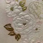 55wbの画像