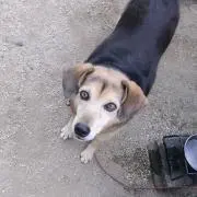 なおちゃんの画像