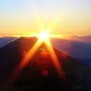 あずさ