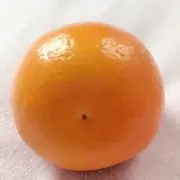 みかんみかんの画像