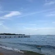 Image of めだか