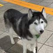 壇之浦