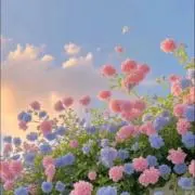 もっちーの画像