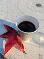 roiの画像