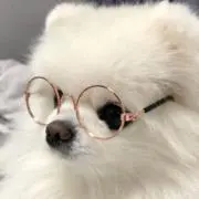 みらの画像