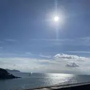 マロンの画像