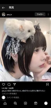 サの画像