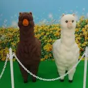 あずかん（購入前にプロフ確認お願いしますの画像