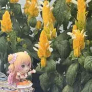 Kira@339の画像