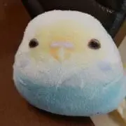 あんこの画像