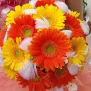 rosier@angel