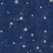 かほ