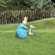 ナギの画像