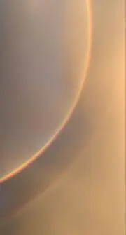 むぎの画像