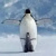 かなたの画像