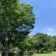 hamの画像