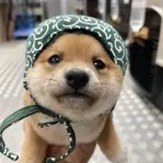 豆ちゃん