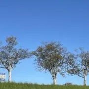 ももの画像