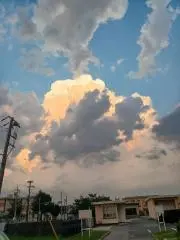 しぃの画像