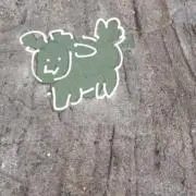 ヒカル