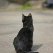 aa.の画像