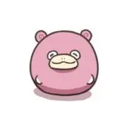 どんちゃんの画像